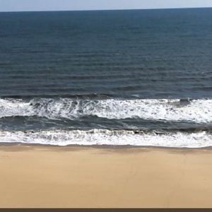 Meet your Posher, Dominic